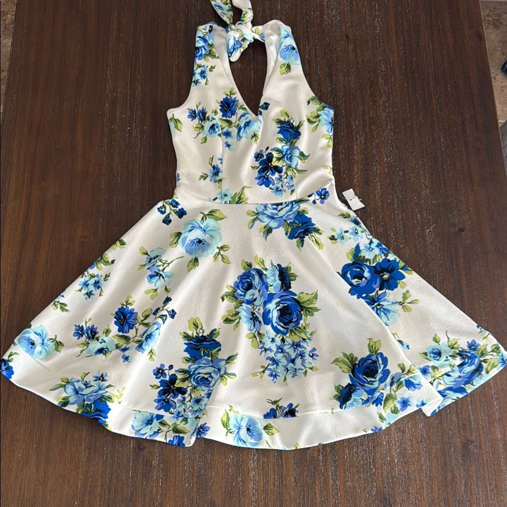 B. Darling Floral Blue and White Juniors Dress size 3/4